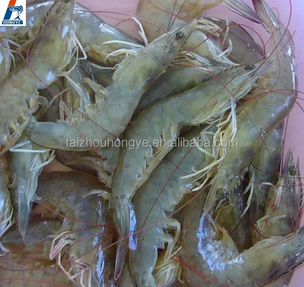 
frozen HLSO/HOSO prawn frozen Penaeus Vannamei Shrimp 