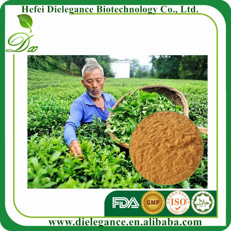  100% Природные Органические Био-Экстракт Зеленого Чая