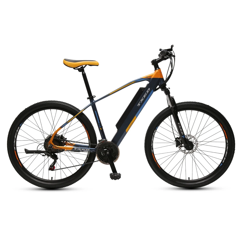 Mountain E Bike Electric Bicycle