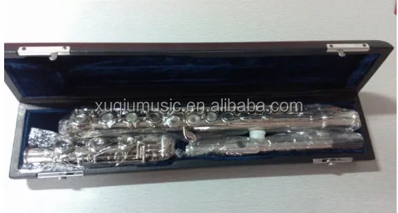 profesional flute