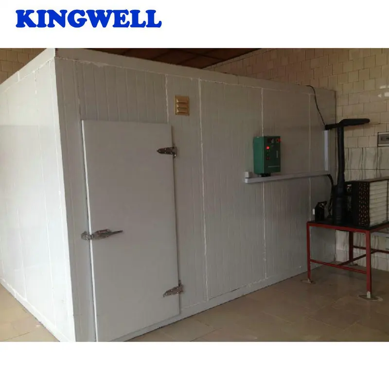 Manufacturer Made Cold Room For Vegetable / Ice / Fish / Meat Cold Storage