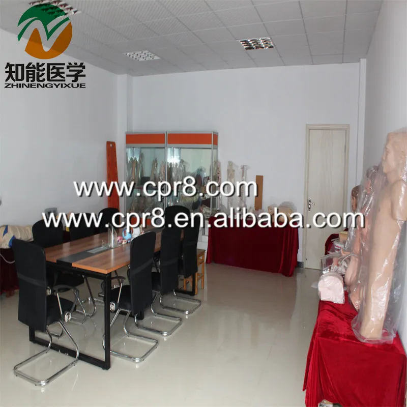 BIX-A1020 Life size vertebral column with pelvic half leg bone skeleton anatomical model