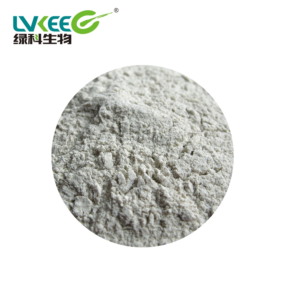Feed grade Aquaculture Enzyme Bacillus subtilis for Shrimp Fish Farming feed additive