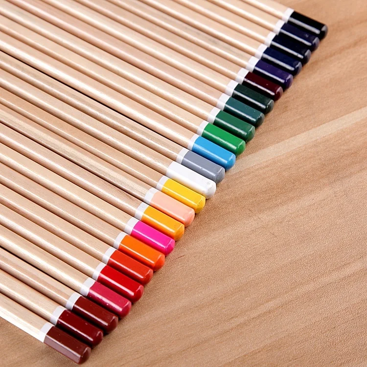 Color Pencil and Graphite Pencil Art Set For Student