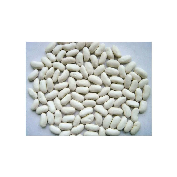 
Egypt Origin Natural White Beans Seed 