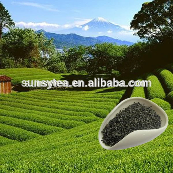 
Noni chunmee leaf green tea 41022 best green tea for African market 