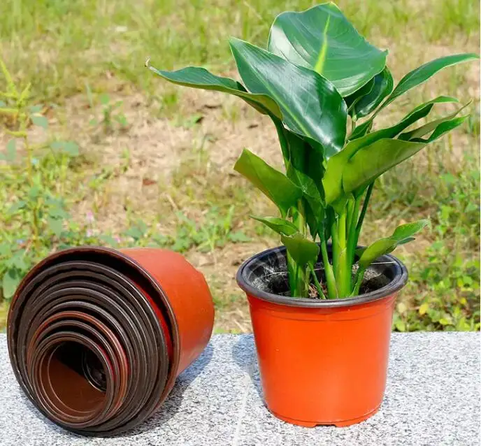 
Terracotta Plastic Nursery Pots 230mm 
