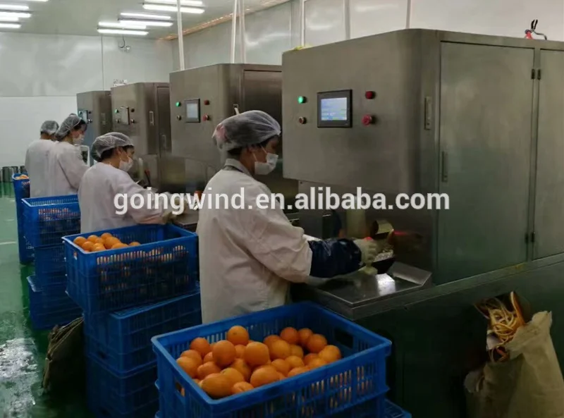 Automatic commercial orange peeling machine auto industrial mandarin oranges skinning and juicer equipment cheap price for sale