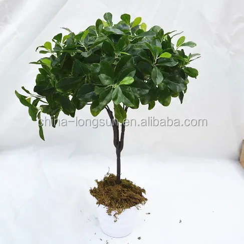 LSD-20160724931 Artificial Succulent Plant Desert Rose/Adenium Obesum Artificial Flower Green Plant Table Decoration Branches