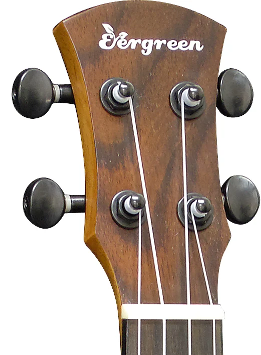 24 inch ukulele concert igh quality rosewood ukulele with EQ pickup S-24REQ6