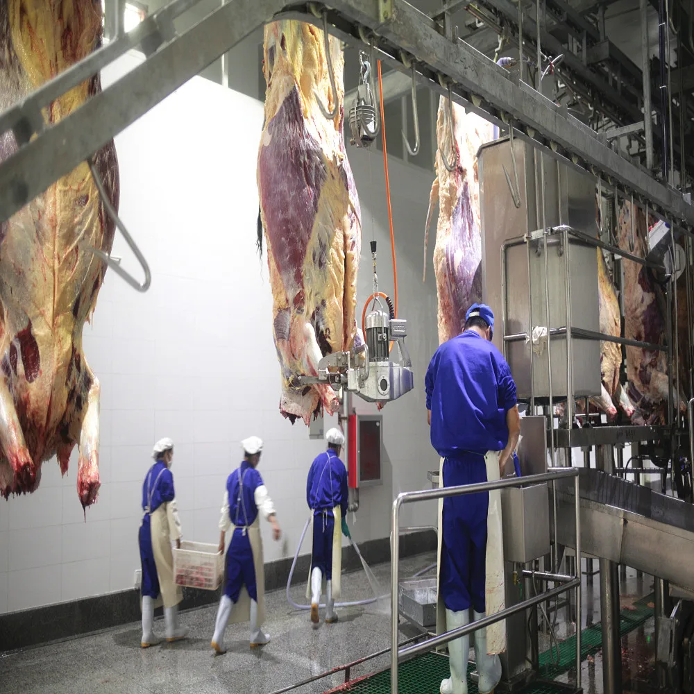 Cow Slaughter Line for Halal Meat Plant Sheep Slaughterhouse Mobile Cattle Process Machine
