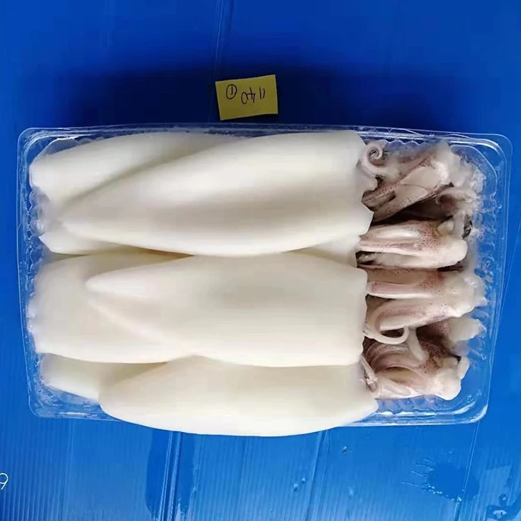 
2021 new catching hot sale fresh frozen squid T+T squid tube & tentacle squid t+t Frozen bulk squid T+T 