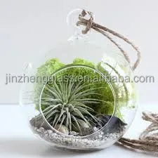 transparent Landscape Ball Shape Hydroponic Plants Flower Glass Vase for Home Wedding Decor