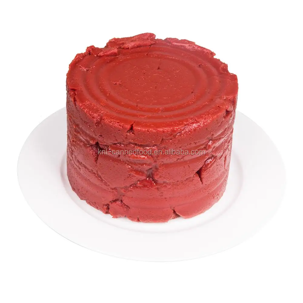 
aseptic tomato paste Canned Concentrated Tomatoes 400 grams 