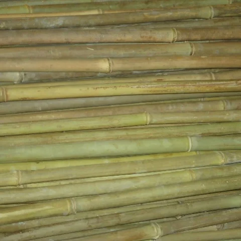 FD-Natural high-quality Bamboo poles sale