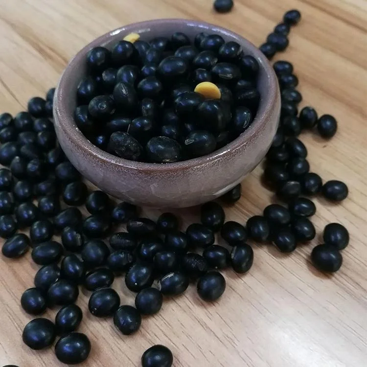 China best price black bean soybean price