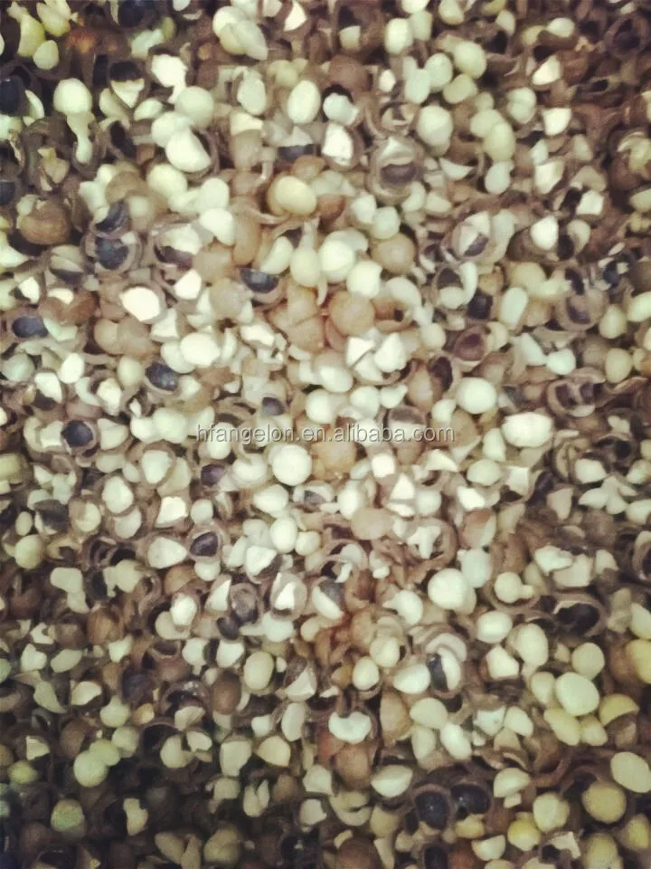 The new model macadamia nut optical  color sorter in china