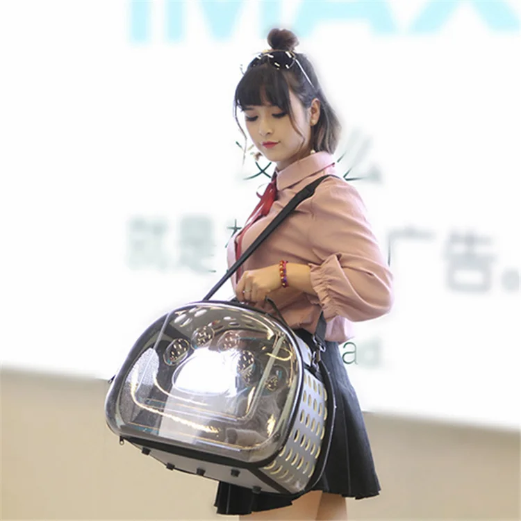 Transparent Pet Carrier Travel Bag for Small Dogs and Cats, Foldable Pet Travel Kennel Portable Pet Carry Handbag
