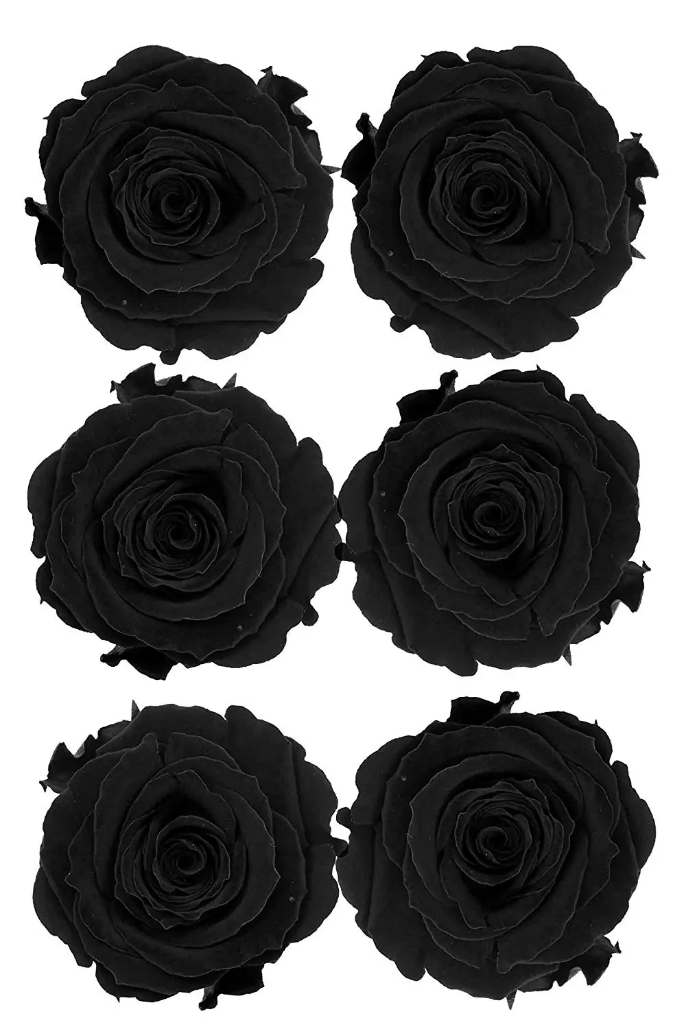 wholesale long lasting  flowers preserved roses for valentines day