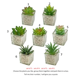 Small Glass Cube artificial succulent mini potted succulent faux plant set