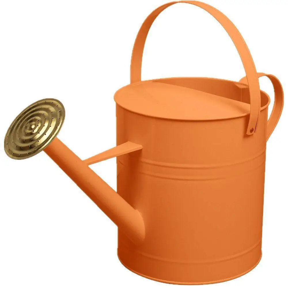 Wonderful Classic Polka Dot Metal Watering Can