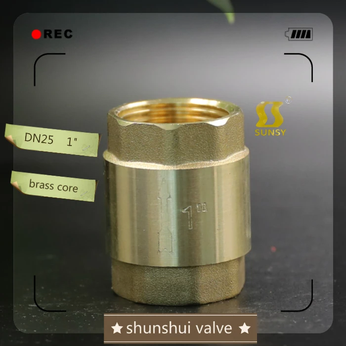 SSF40160 латунный ножной клапан, нижний клапан 1/2-4 дюйма с сеткой из нержавеющей стали, латунный обратный клапан, латунный вертикальный клапан для счетчика воды