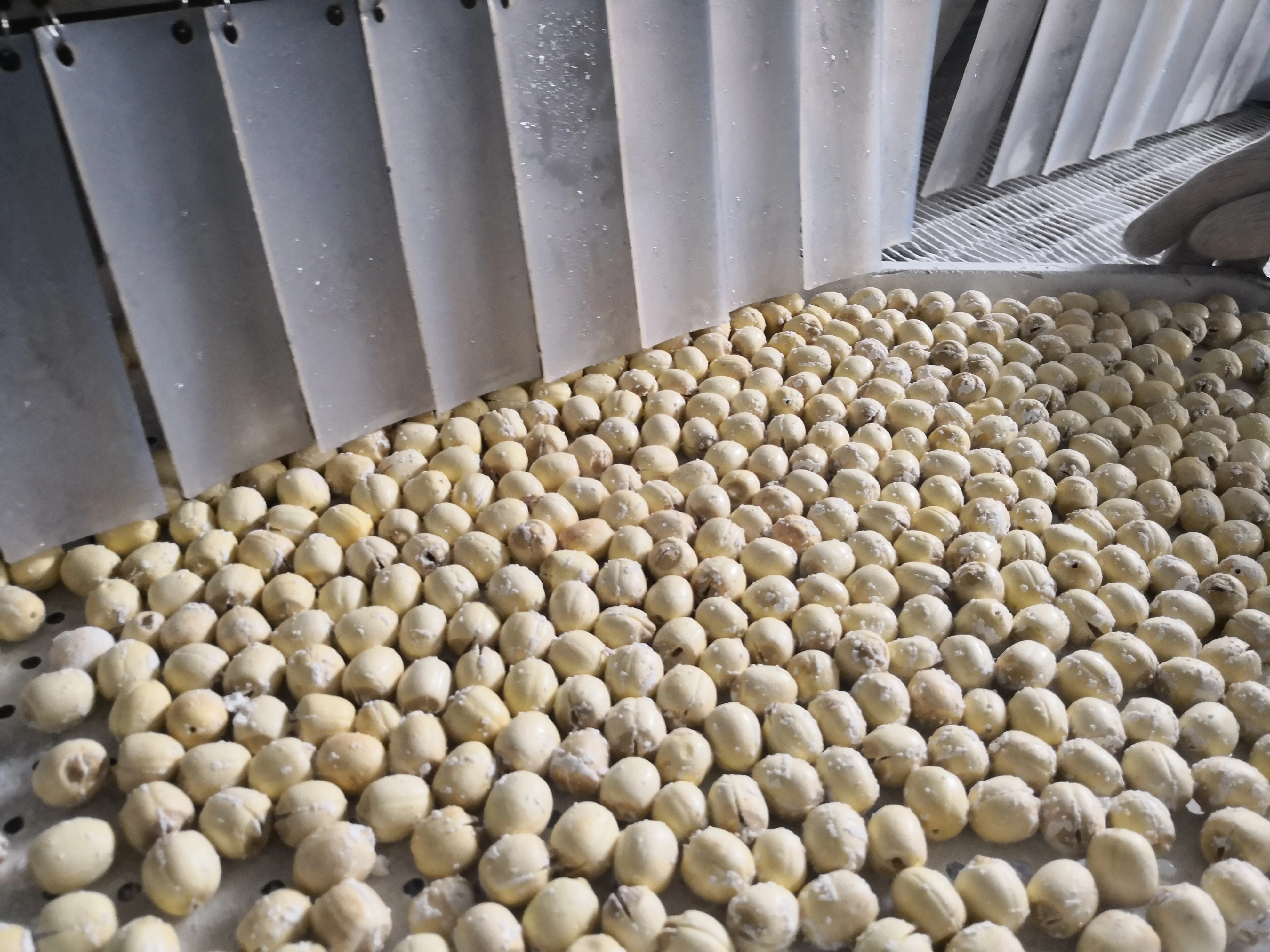 DJL iqf tunnel cooling equipment for lotus nuts/vegetables Dumplings quick iqf tunnel freezer for meatball freeze