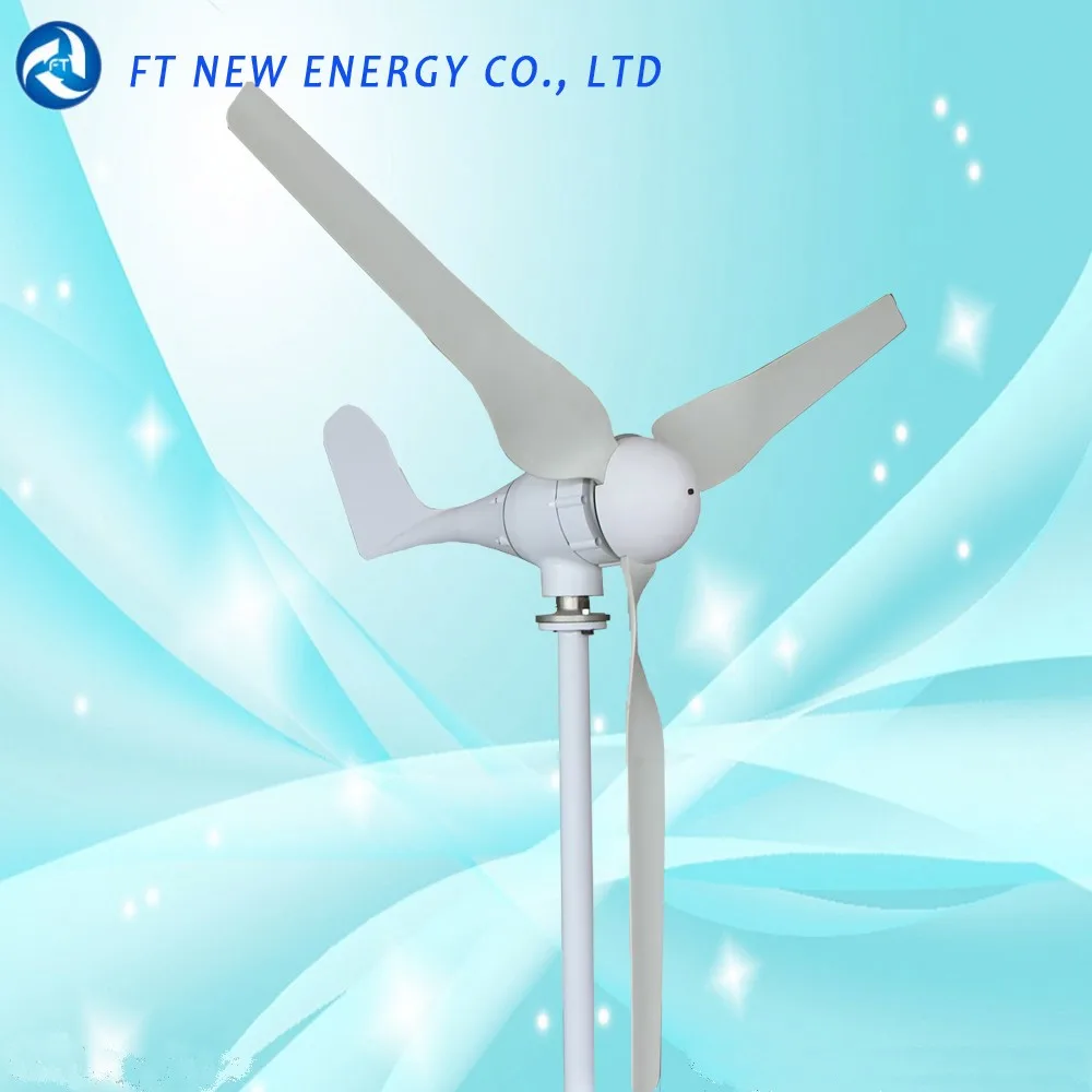 300 Watt Portable Wind dynamo Hot Sale