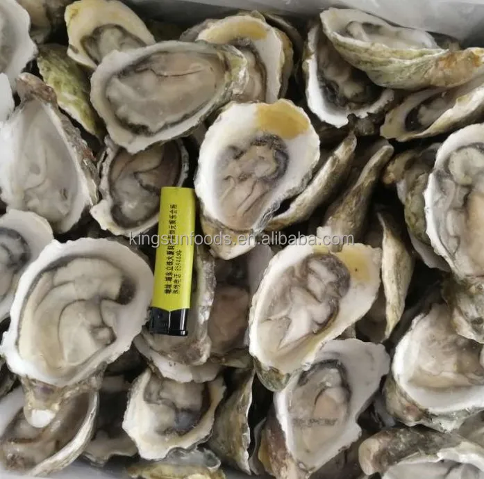 Good Quality Half Shell Oyster (60752688511)