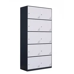 Multi-function office school storage cabinet 10 door double color iron cupboard wardrobe