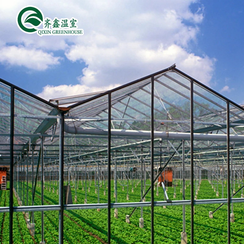 25 Years Quality Guarantee Galvanized Steel Structure For Glass Greenhouse