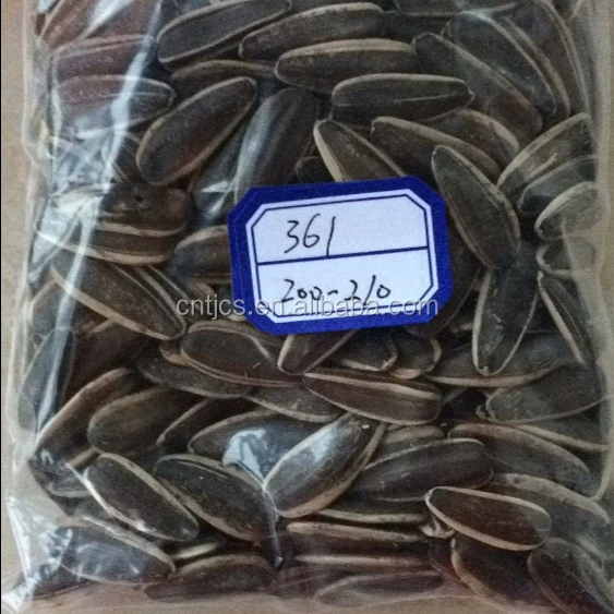 
chinese high quality sunflower seeds with low price 