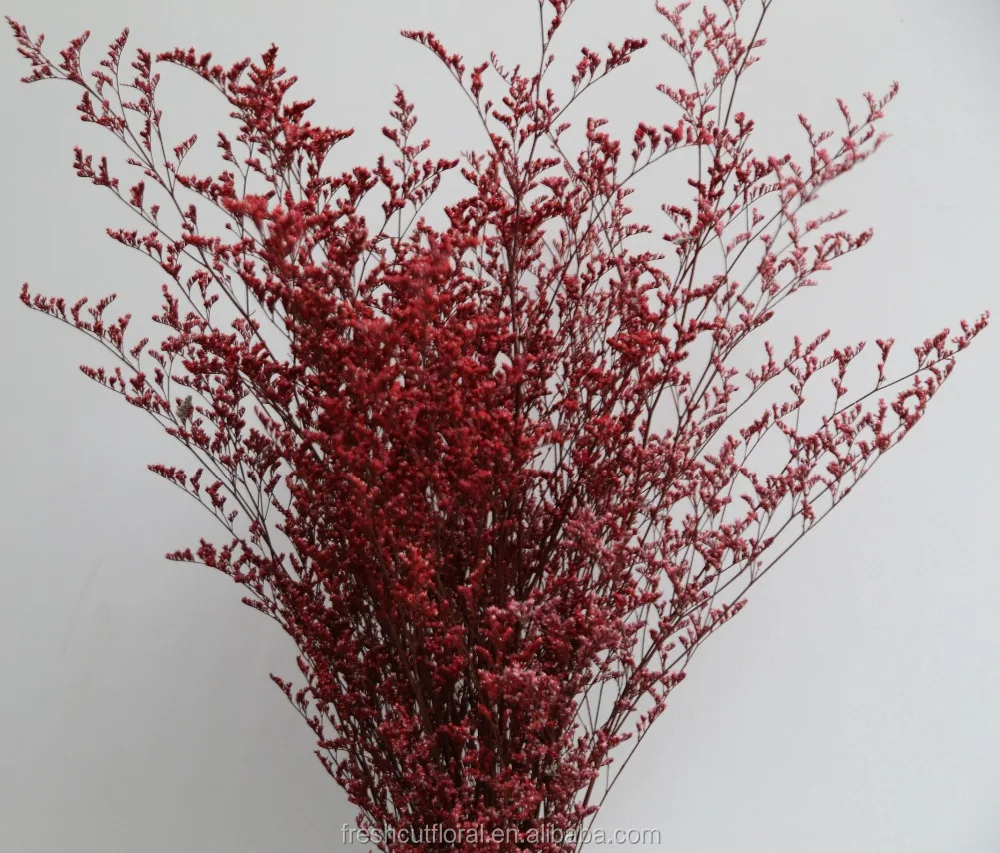 Hot selling preserved Limonium flower dried Baby Bearth flowers forget me Not dried preserved Misty Limonium Flowers