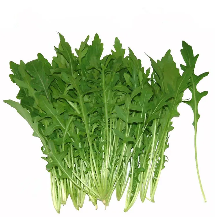 Новинка 2021, Семена Салата, семена свежих овощей, гибридные семена рокеты