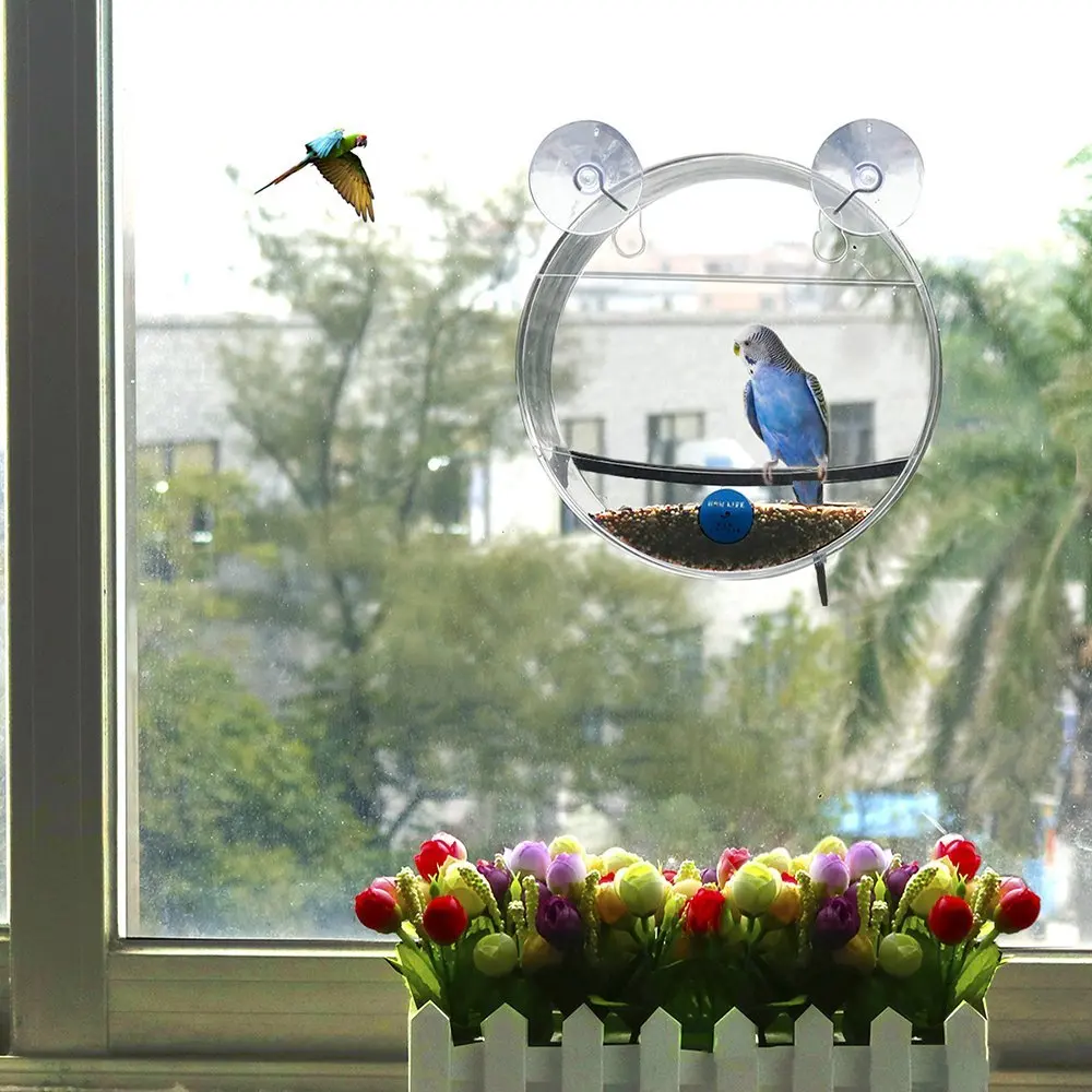 Fashion Acrylic Watch Wild Birds Up Close Round Window Bird Feeder for Bird Lovers & Fun Summer Activity for Kids As Great Gift