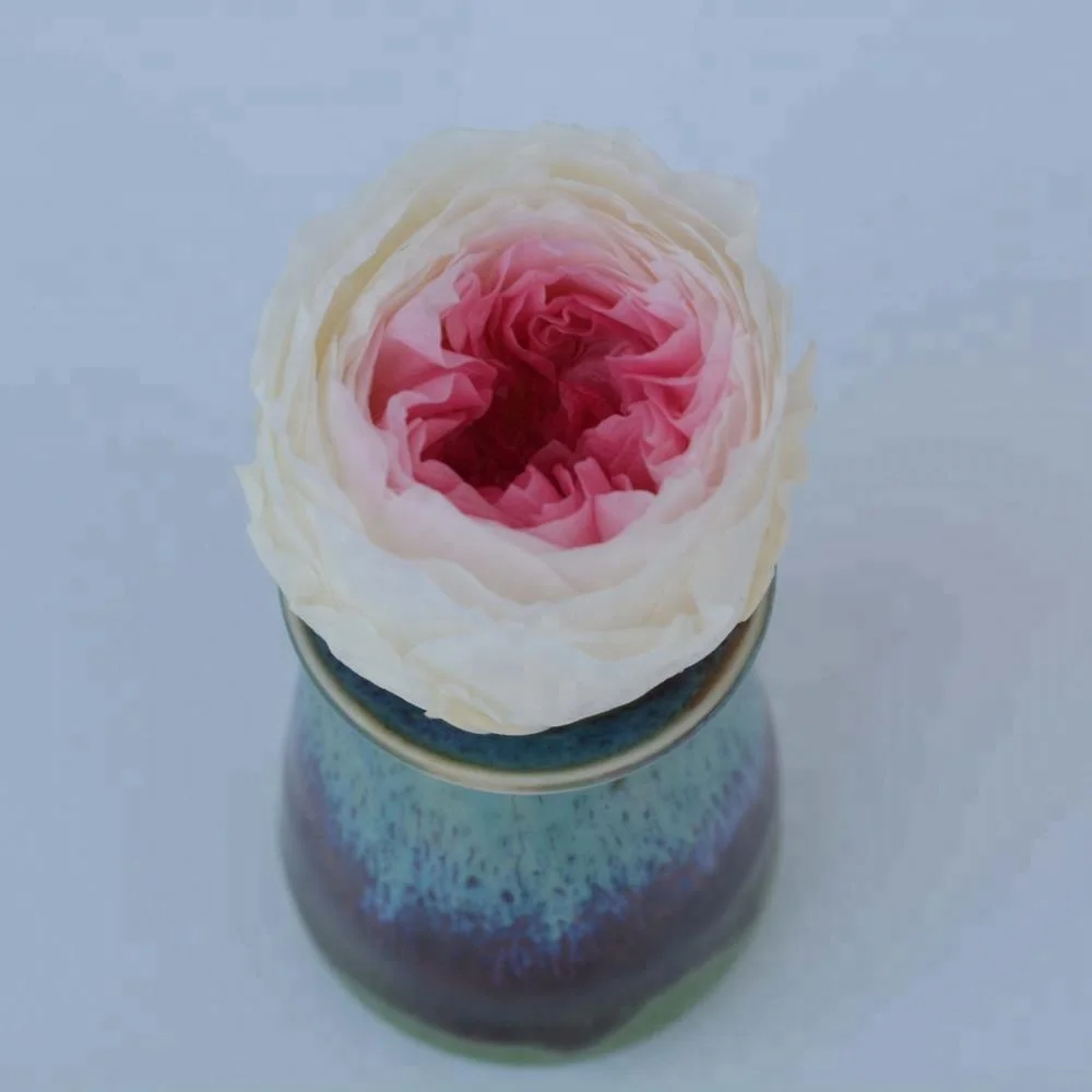 Best Online Export Sells Fresh Preserved Austin Roses Flowers for Key Chain