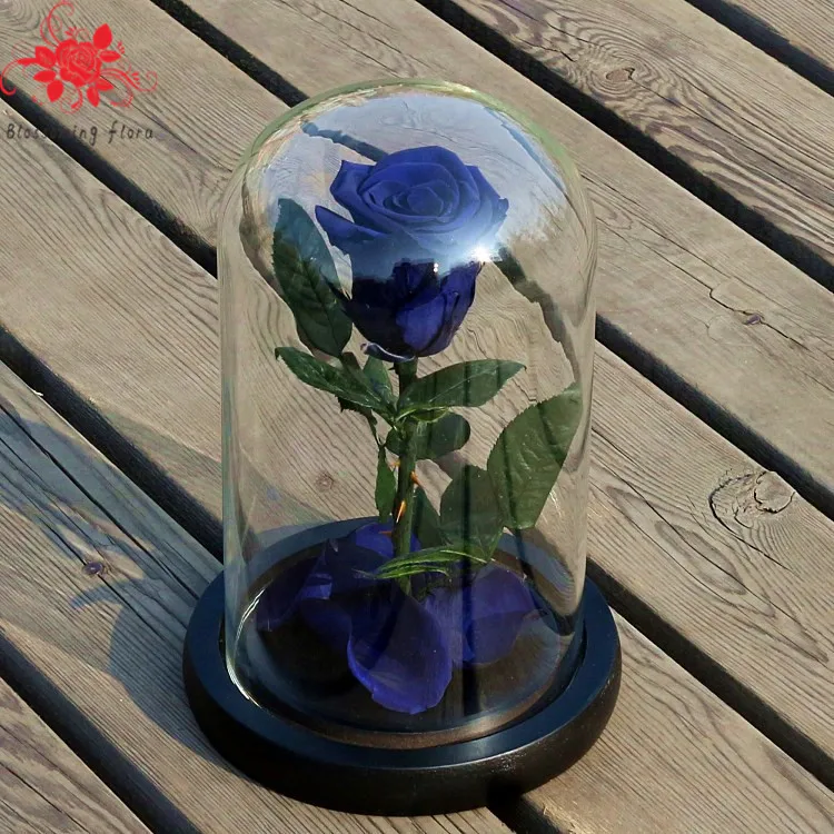Cheap bulk christmas gifts long lasting real rose flowers forever preserved with stem