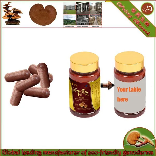 Ganoderma lucidum спор порошок