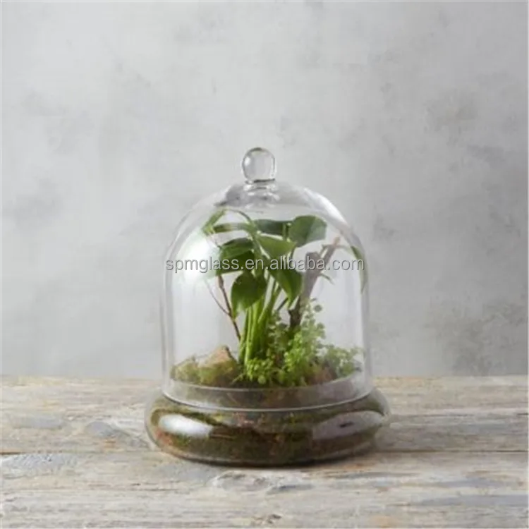 garden dome cloche terrarium glass vase for plants