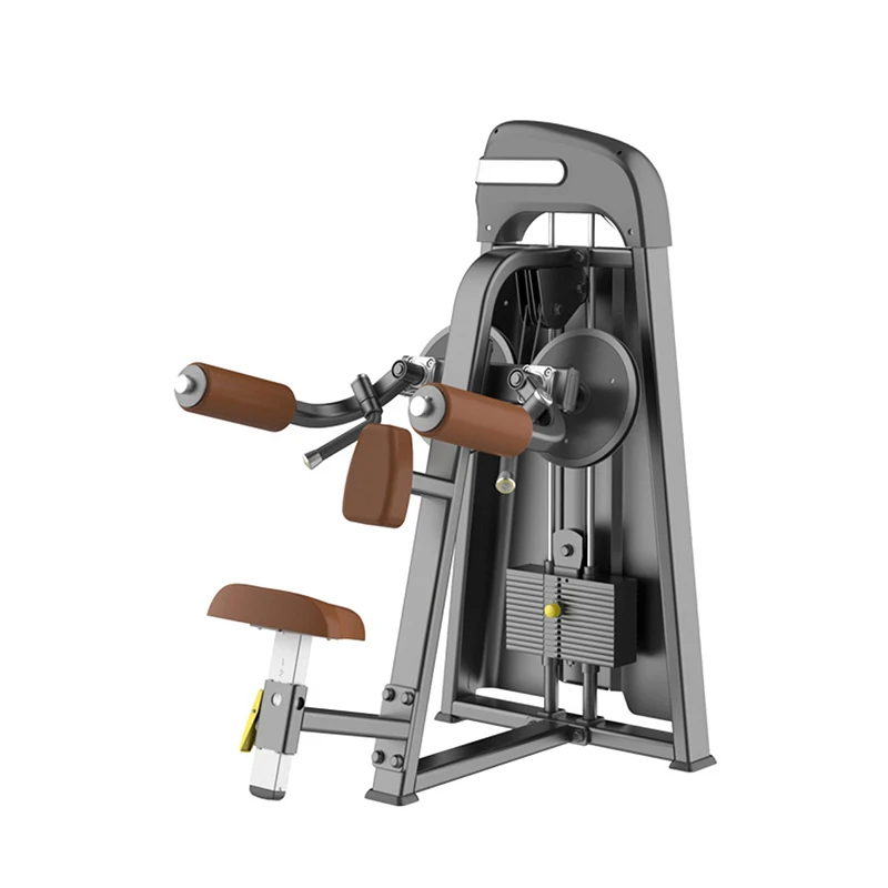 
Commercial Strength Training Equipment Lateral Raise 
