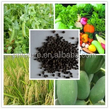 Chinese factory Amino acid seaweed extract  granular organic  Fertilizer