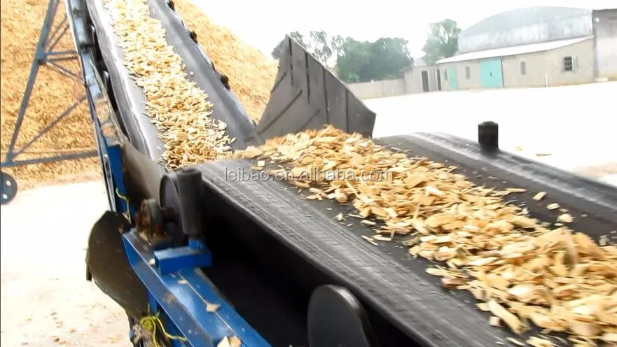 Hotsale wood chip selecting machine in China