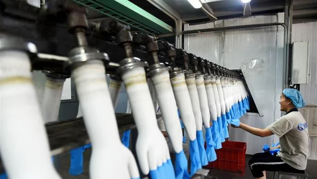 China fully automatic disposable glove manufacturing machine for production of latex glove