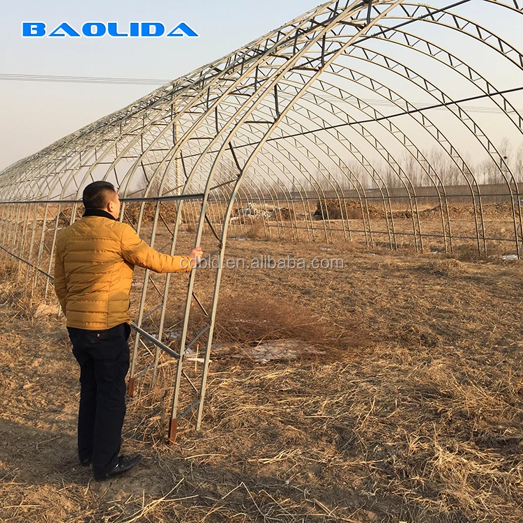 Baolida serra a doppio arco agriculture plastic single span greenhouse double film greenhouse