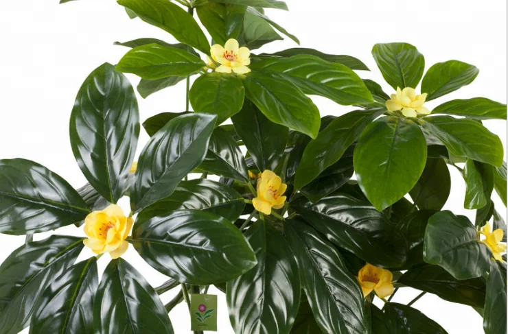 2018Most Popular Plastic Indoor Decorative Money Tree