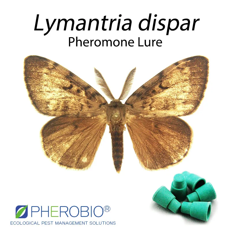  Цыганская приманка Lymantria приманка-феромон для