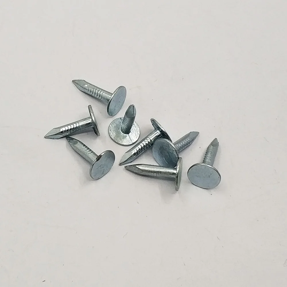 
Chinese factory supply big flat head plain shank zinc galvanized surface steel clout nails 