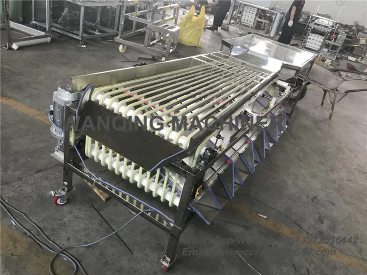 
Sorting machine automatic graded for jujube red dates plums and fruit processing equipment 