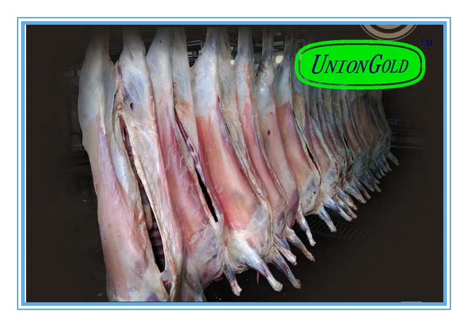 halal SKINLESS/skin-on whole lamb carcass four or six way cut