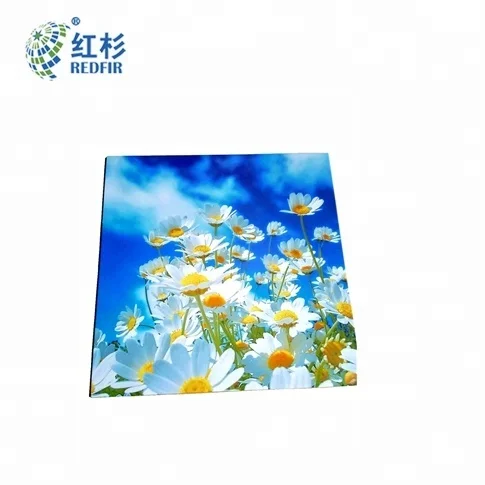 Exterior Building Metal Suspended Ceiling Design PVDF Paint Wall Panel Aluminum soild panel